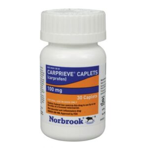 Buy Carprieve Caplets 100mg 180 Count